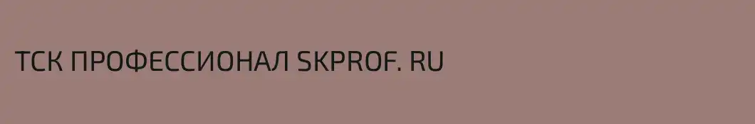 ТСК ПРОФЕССИОНАЛ SKPROF. RU
